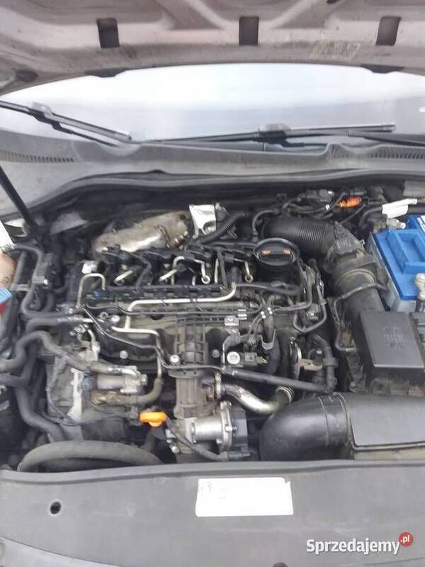 Używany 2011 VW Golf VI | 9900 zł (Super Cena) - Obraz 1/4