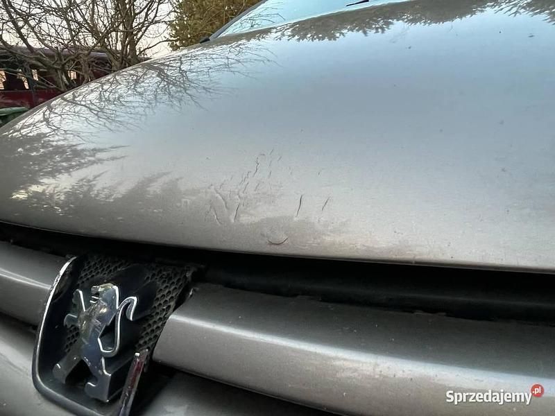 Używany Peugeot 307 Premium 2003 Kombi