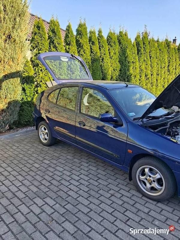 Używany 2002 Renault Mégane II | 12 500 zł - Obraz 1/4
