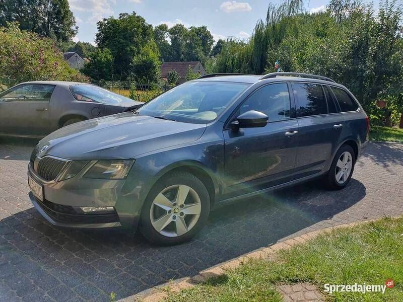 Używany 2019 Skoda Octavia | 49 300 zł (Uczciwa cena) - Obraz 1/4