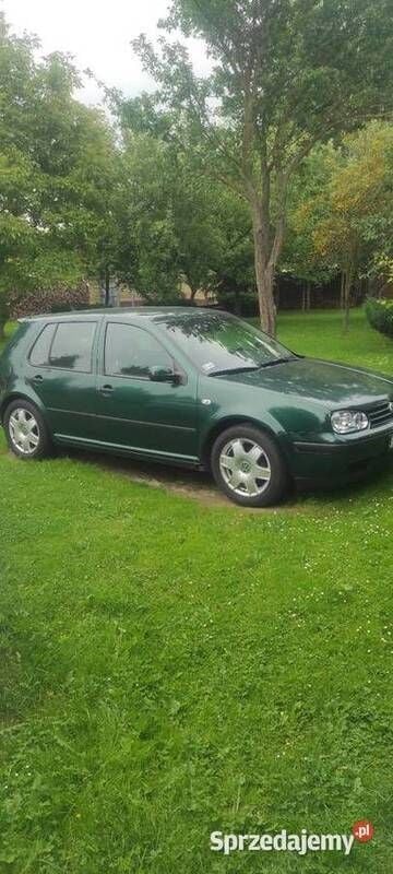 Zielony Używany 1998 VW Golf IV Hatchback | 2500 zł - Obraz 1/4