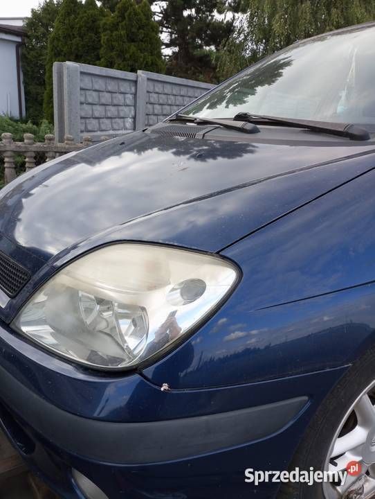 Używany 2001 Renault Scénic Minivan | 1000 zł (Dobra cena) - Obraz 1/4