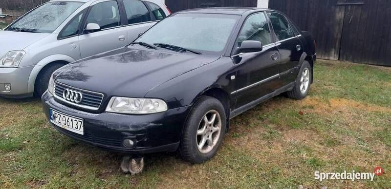 Czarny Używany 1999 Audi A4 Sedan/Limuzyna | 2000 zł (Dobra cena) - Obraz 1/4