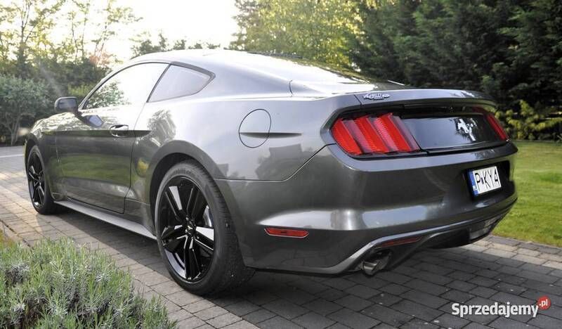 Szary Używany 2016 Ford Mustang Coupe | 82 000 zł (Uczciwa cena) - Obraz 1/4