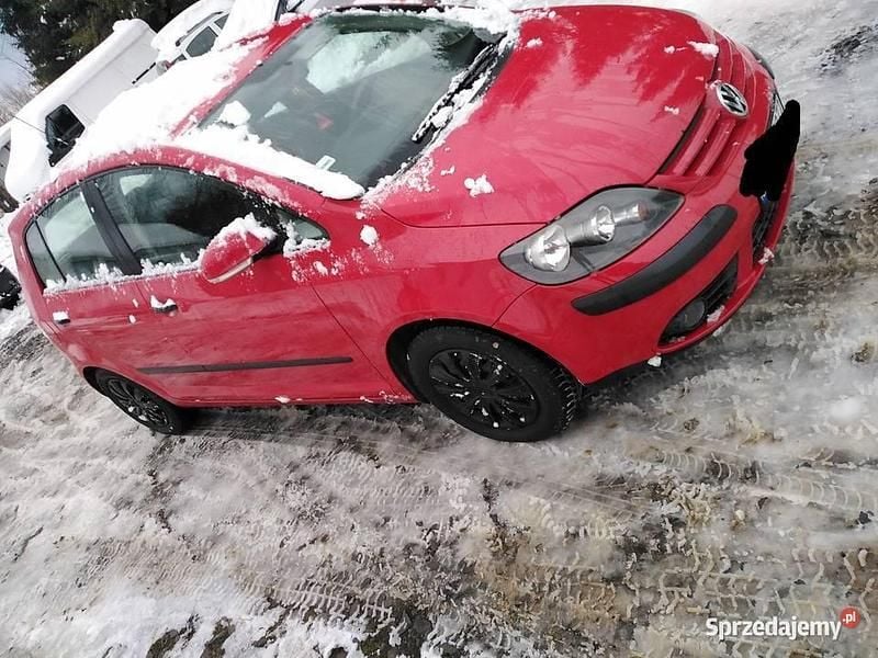 Czerwony Używany 2005 VW Golf IV Hatchback | 7999 zł (Dość drogi) - Obraz 1/4