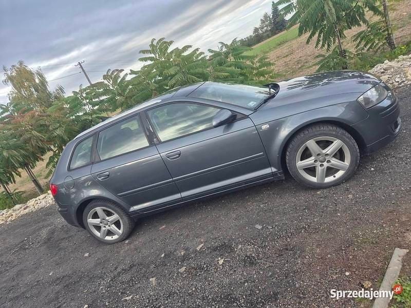 Używany 2005 Audi A3 | 15 000 zł (Uczciwa cena) - Obraz 1/4