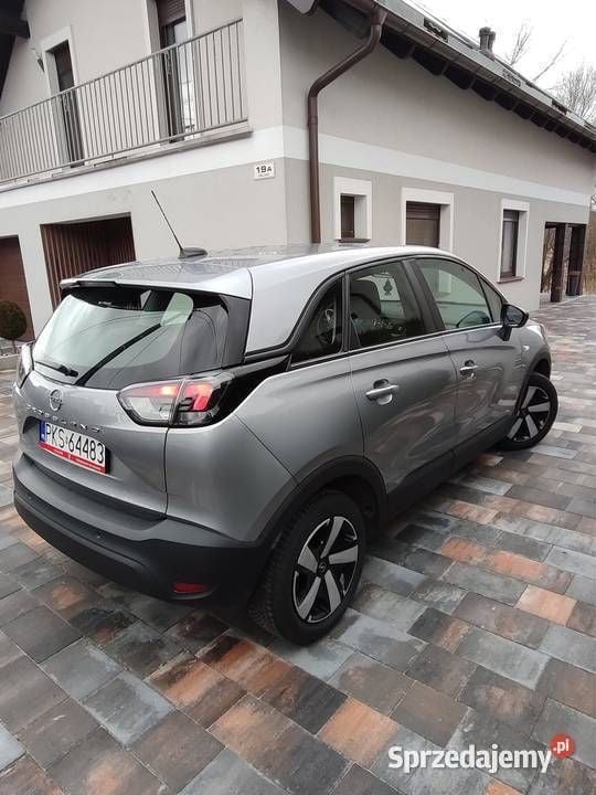 Obraz 4
