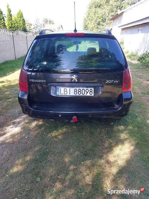 Używany 2003 Peugeot 307 | 4700 zł (Uczciwa cena) - Obraz 1/4