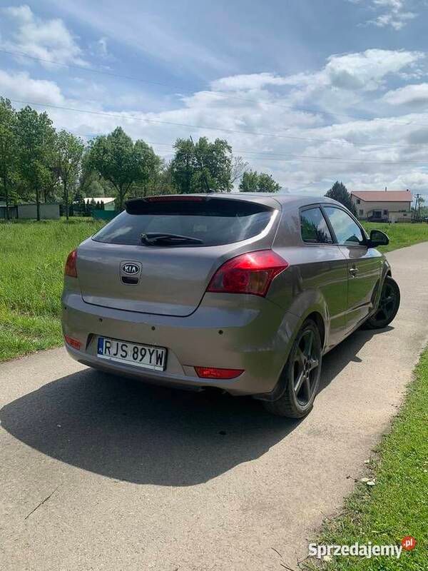 Obraz 3/4