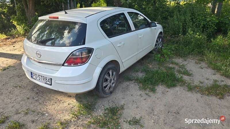 Obraz 4/4
