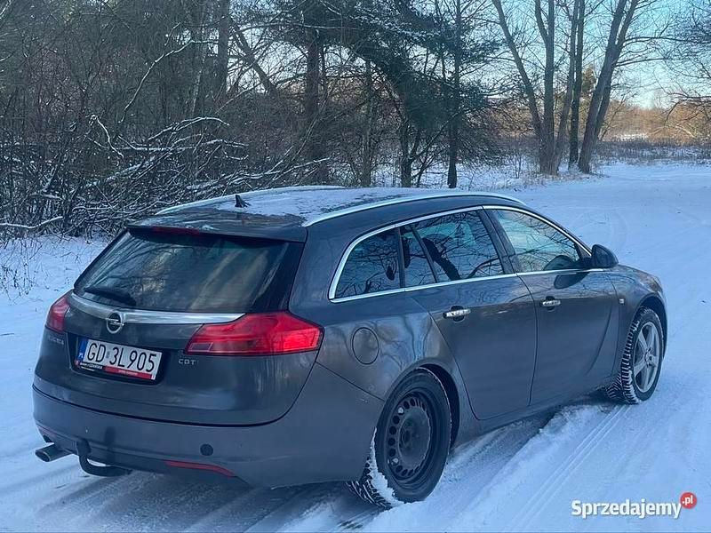 Szary Używany 2009 Opel Insignia Kombi | 8500 zł (Uczciwa cena) - Obraz 1/4