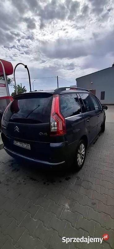 Obraz 4/4