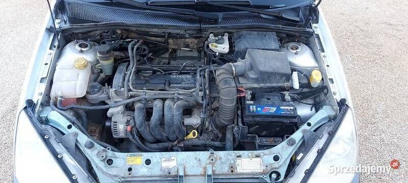 Używany 2002 Ford Focus | 3000 zł (Uczciwa cena) - Obraz 1/4