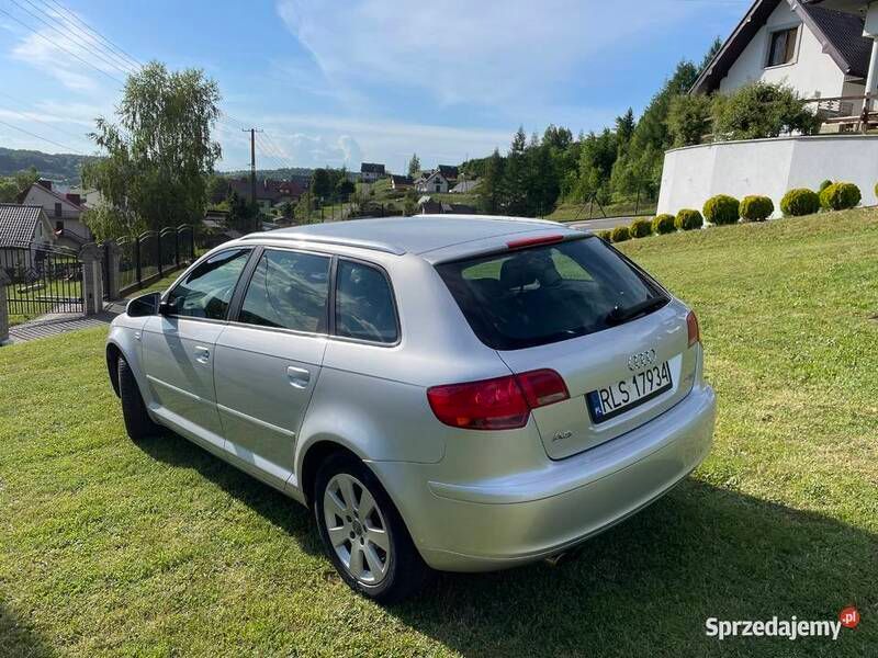 Srebrny Używany 2007 Audi A3 Hatchback | 17 500 zł (Uczciwa cena) - Obraz 1/4