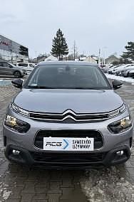 Używany Citroën C4 Cactus Feel 110 KM (80 kW) 2019 Srebrny Hatchback