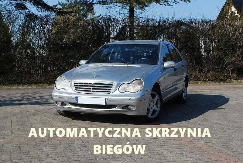 Obraz 2/4