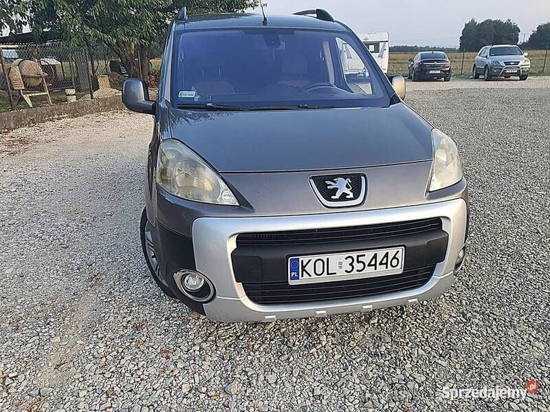 Używany Peugeot Partner 2009 Zielony Minivan