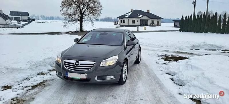 Używany Opel Insignia 2011 Szary Hatchback