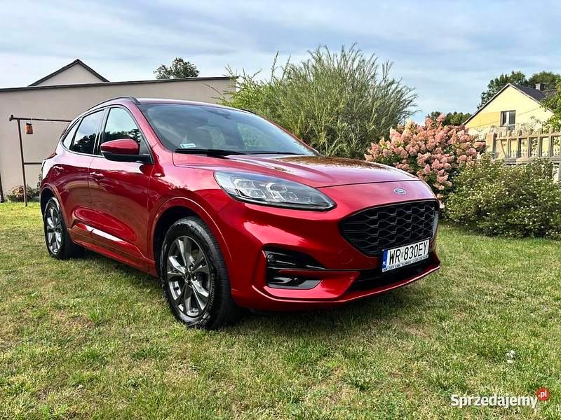 Używany Ford Kuga ST-Line 2021 SUV