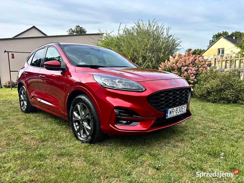Używany 2021 Ford Kuga ST-Line SUV | 91 500 zł (Uczciwa cena) - Obraz 1/4