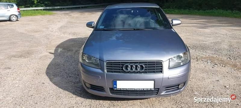 Używany 2003 Audi A3 | 5999 zł (Dobra cena) - Obraz 1/4