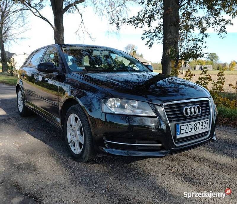 Czarny Używany 2010 Audi A3 Hatchback | 23 800 zł (Uczciwa cena) - Obraz 1/4