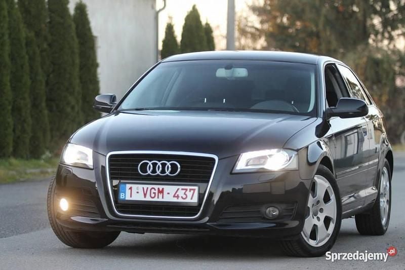 Czarny Używany 2011 Audi A3 Comfort Hatchback | 20 399 zł (Dobra cena) - Obraz 1/4