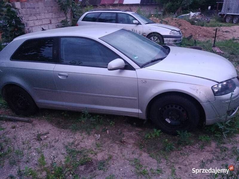 Używany 2008 Audi A3 | 8000 zł - Obraz 1/4