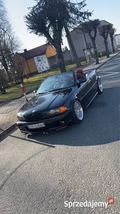 Obraz 4/4