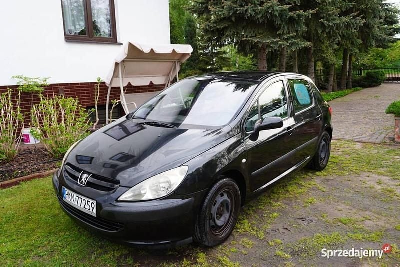 Używany 2003 Peugeot 307 | 4200 zł (Uczciwa cena) - Obraz 1/4
