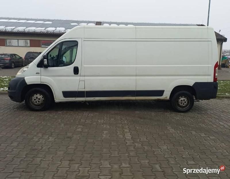 Używany Fiat Ducato 2008 Biały Van