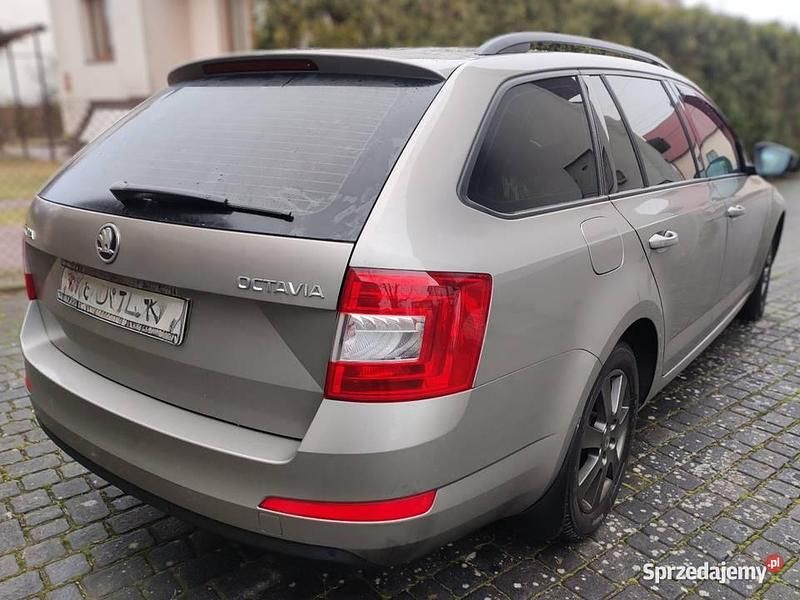 Używany Skoda Octavia 2014 Beżowy Hatchback