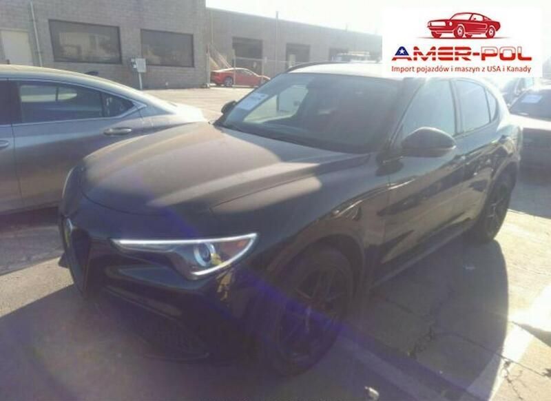 Czarny Używany 2019 Alfa Romeo Stelvio SUV | 108 000 zł - Obraz 1/4