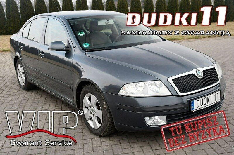 Szary Używany 2006 Skoda Octavia Hatchback | 9900 zł (Dobra cena) - Obraz 1/3