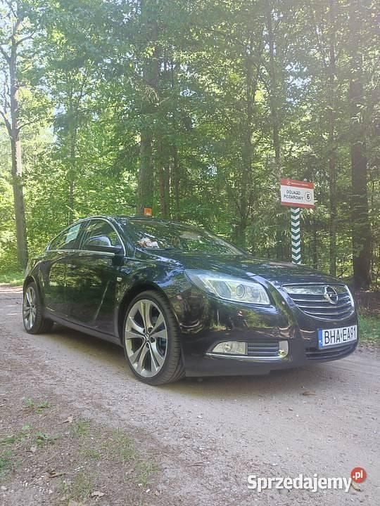 Czarny Używany 2010 Opel Insignia Hatchback | 17 500 zł (Dobra cena) - Obraz 1/4