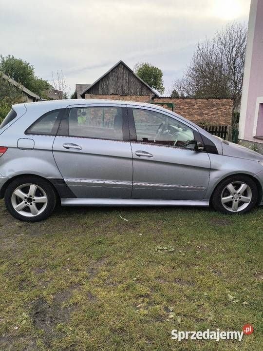 Obraz 3