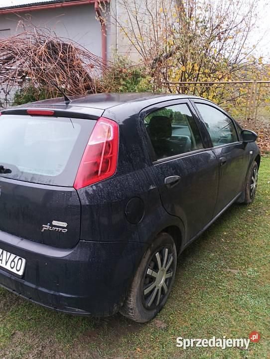 Używany Fiat Punto 2009 Granatowy Hatchback