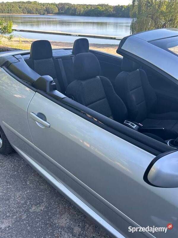 Używany 2003 Peugeot 307 Kabriolet | 11 900 zł (Drogi) - Obraz 1/4