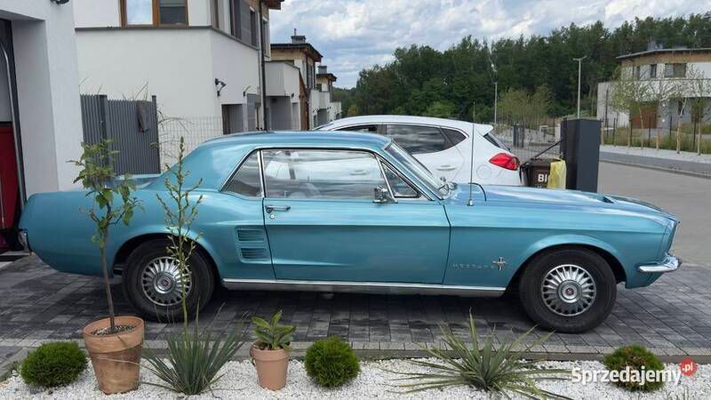 Używany 1967 Ford Mustang | 69 000 zł - Obraz 1/4