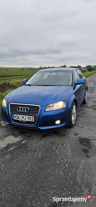 Niebieski Używany 2009 Audi A3 Hatchback | 19 900 zł (Dobra cena) - Obraz 1/4