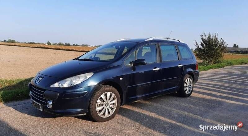 Używany Peugeot 307 2007