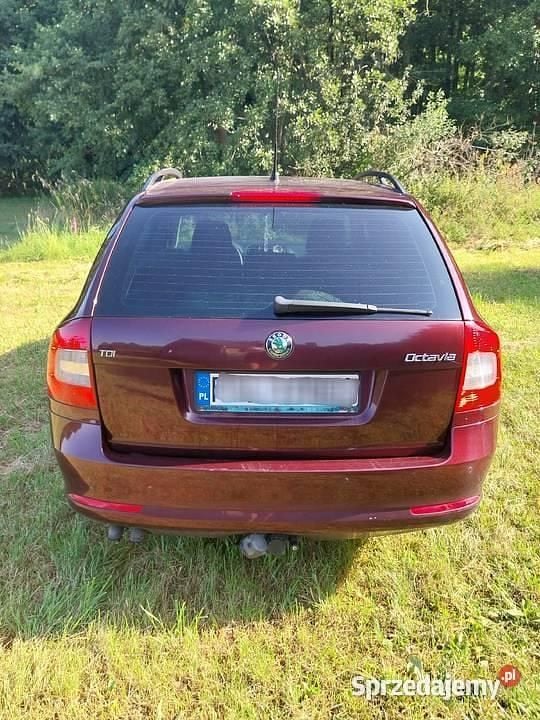 Używany 2009 Skoda Octavia | 11 200 zł (Dobra cena) - Obraz 1/4