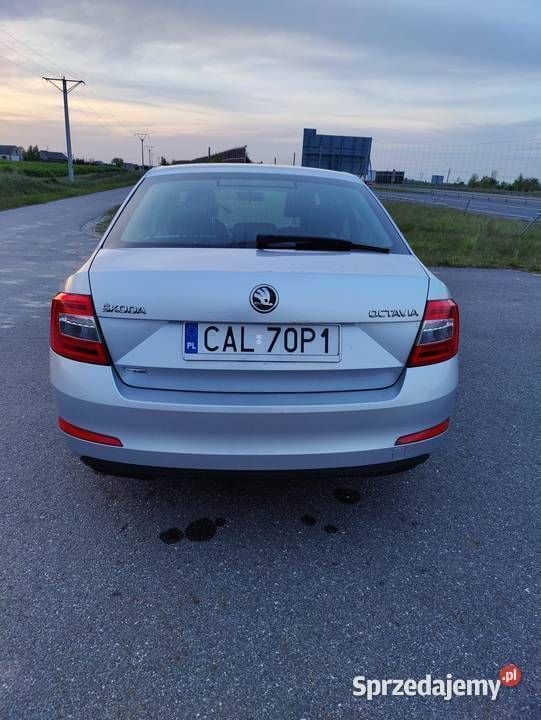 Obraz 2/4