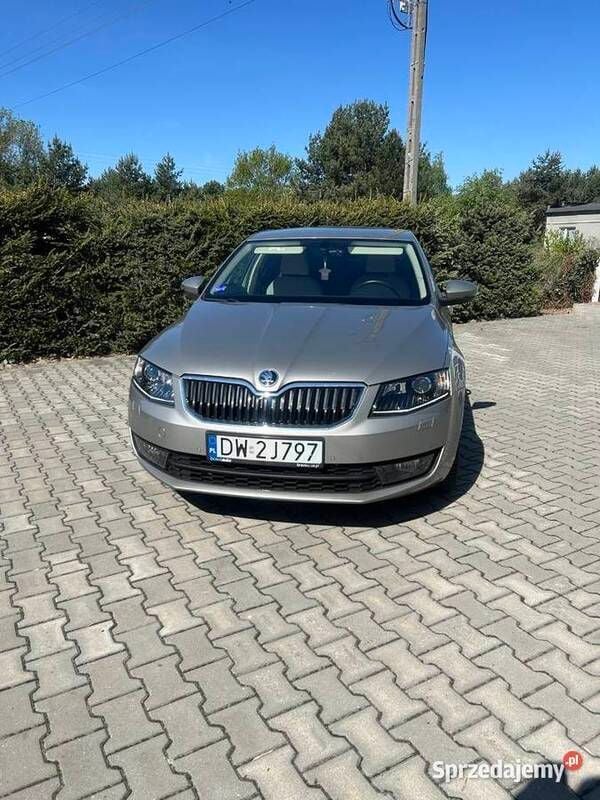 Obraz 1