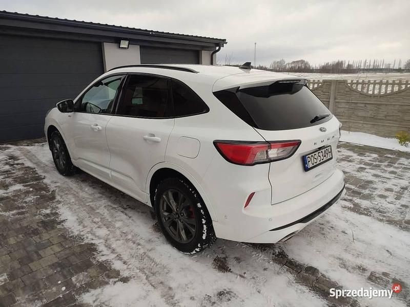 Używany Ford Kuga ST-Line 2021 Biały SUV