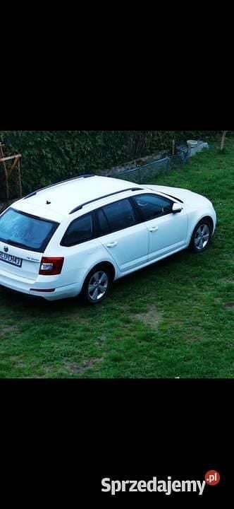 Używany Skoda Octavia 2013 Biały Kombi