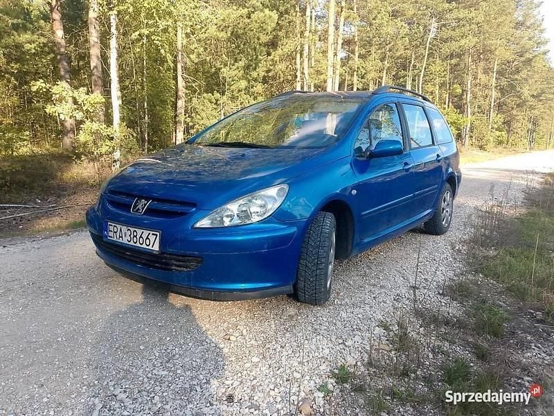 Niebieski Używany 2002 Peugeot 307 Kombi | 3200 zł (Uczciwa cena) - Obraz 1/4