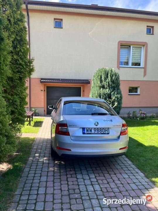 Obraz 4/4