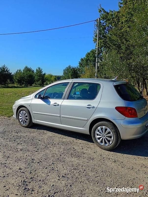 Używany 2006 Peugeot 307 | 5900 zł (Uczciwa cena) - Obraz 1/4
