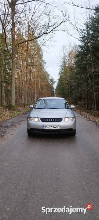 Używany Audi A3 2001 Srebrny Hatchback